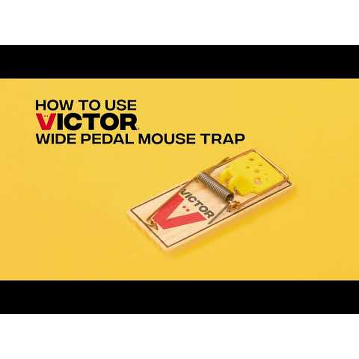 Victor Wide Pedal Mouse Trap 2 Pack -- other