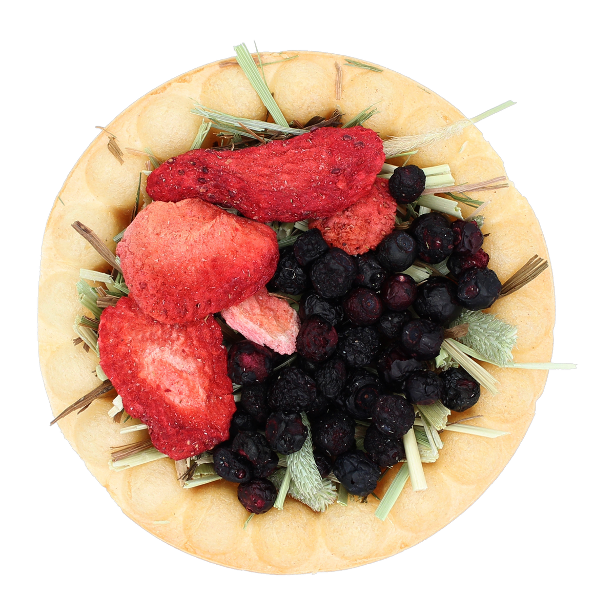 Vitakraft Berry Pie treat closeup with strawberries and blueberries on Timothy hay in baked crust