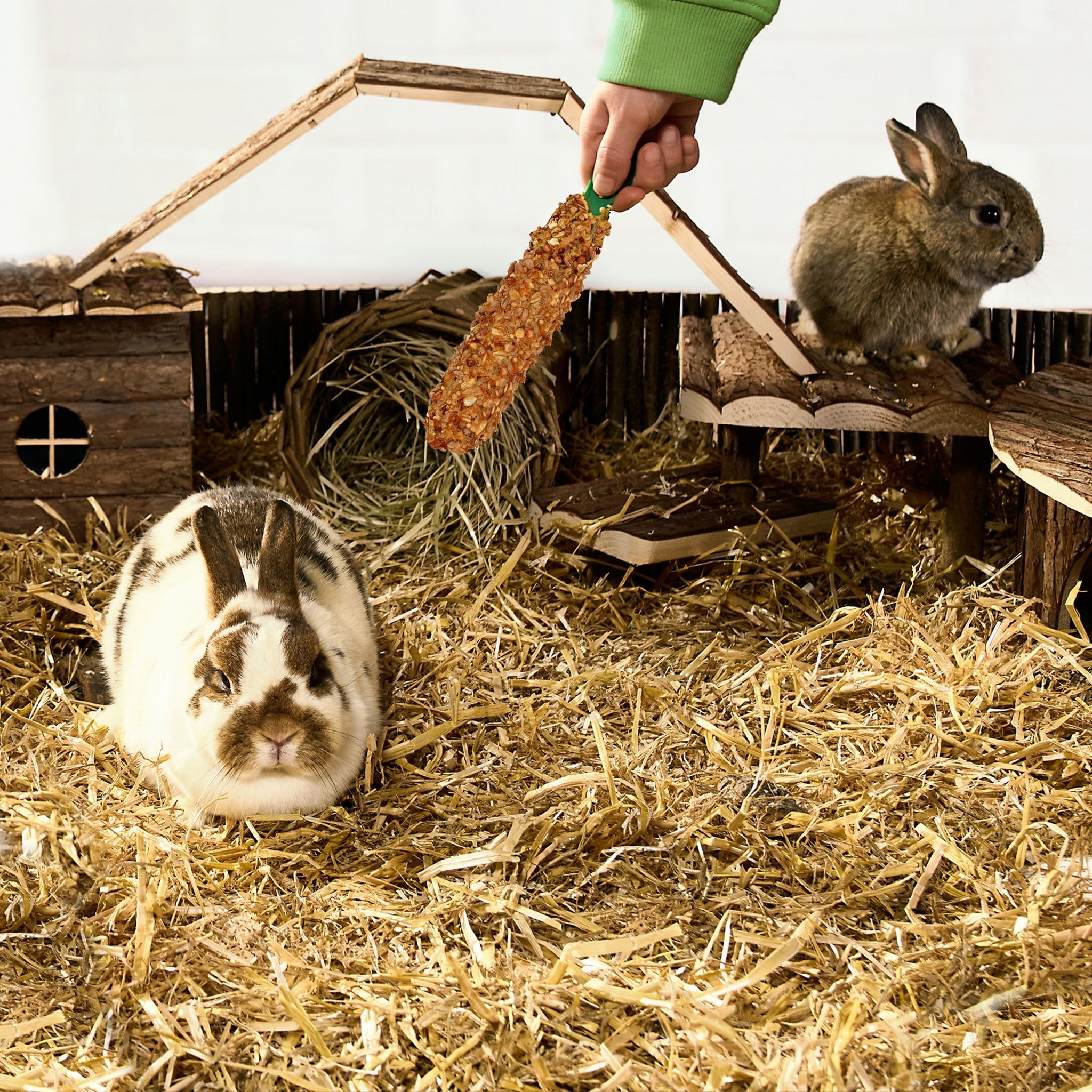 Rabbits enjoying a Crunch Stick treat in their habitat