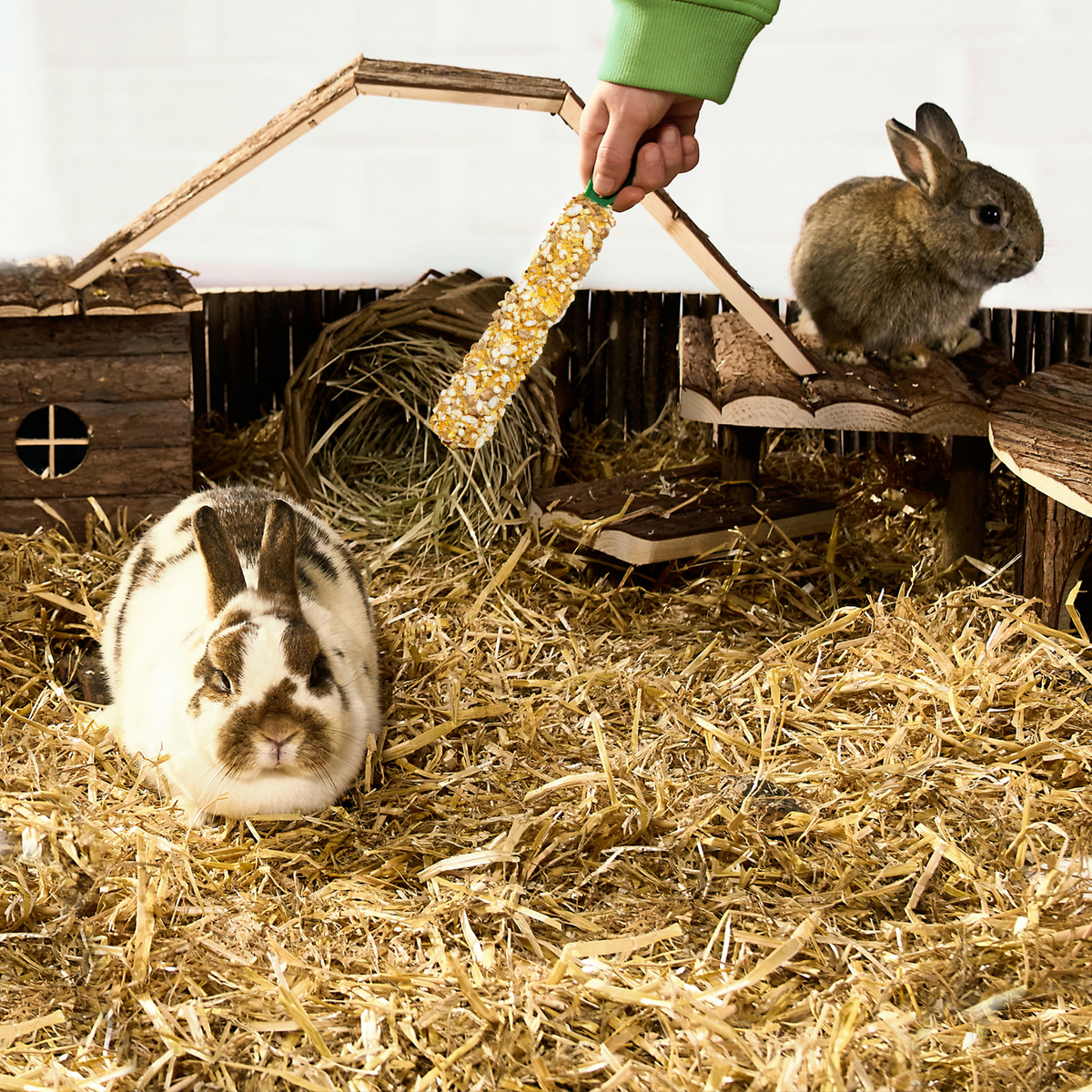 Rabbit in a hay-filled habitat with a Vitakraft Crunch Stick