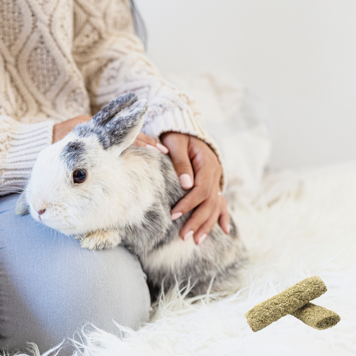 Rabbit on a lap next to Vitakraft Slims alfalfa sticks