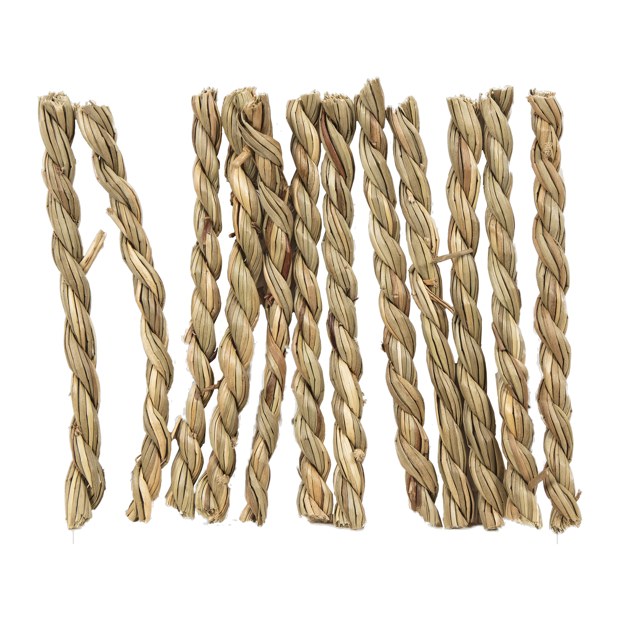 Ware Seagrass Twists loose seagrass twist chews standing upright