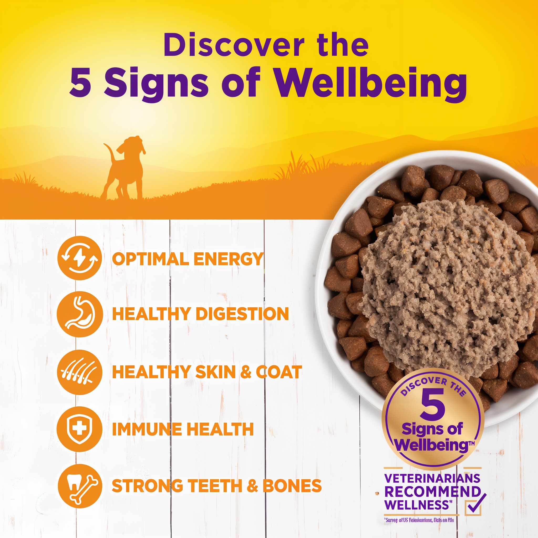 Discover the 5 Signs of Wellbeing: optimal energy, healthy digestion, healthy skin and coat, immune health, strong teeth and bones — bowl of paté served over kibble