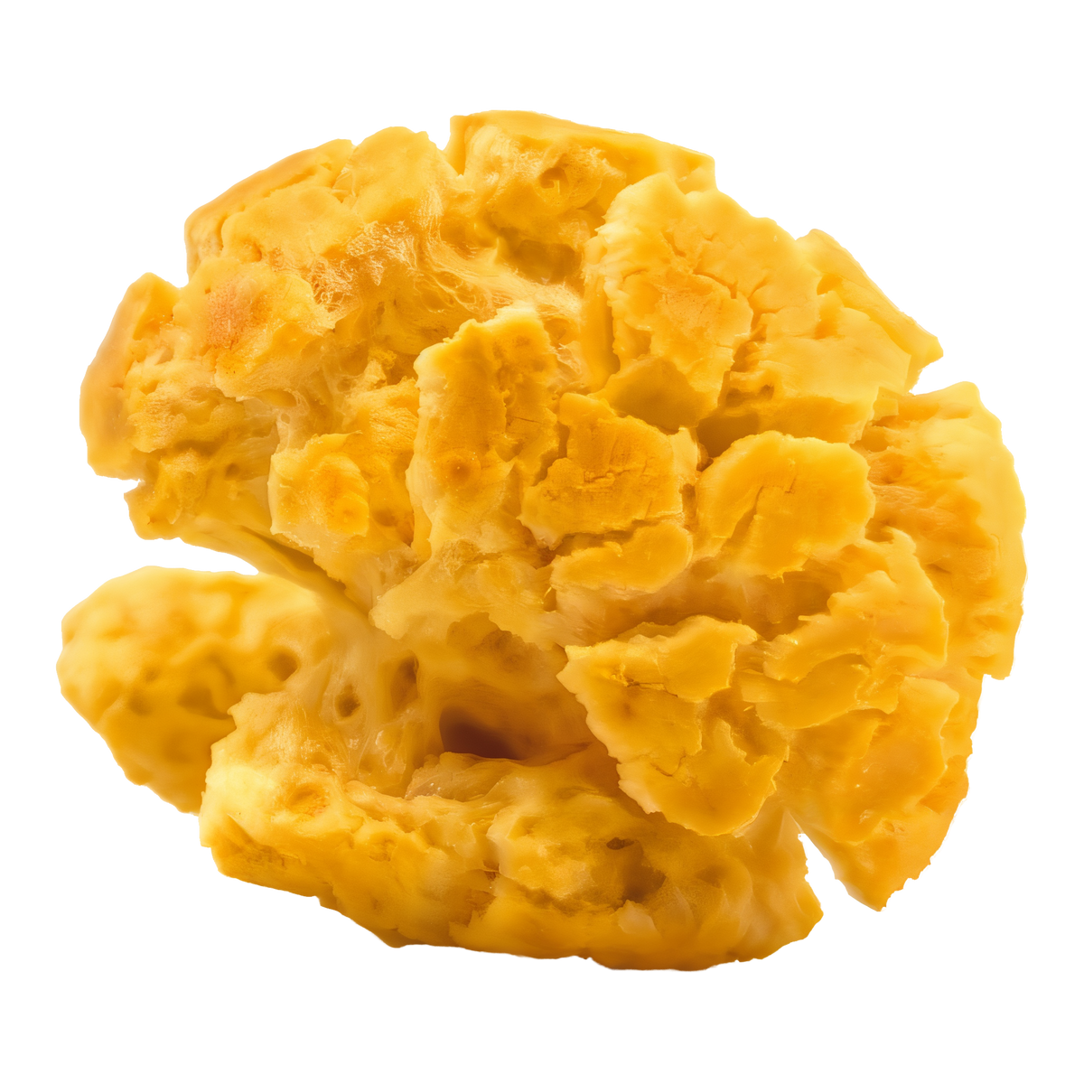 Wild Meadow Farms Egg Puffs Dog Treats -- egg puff pieces