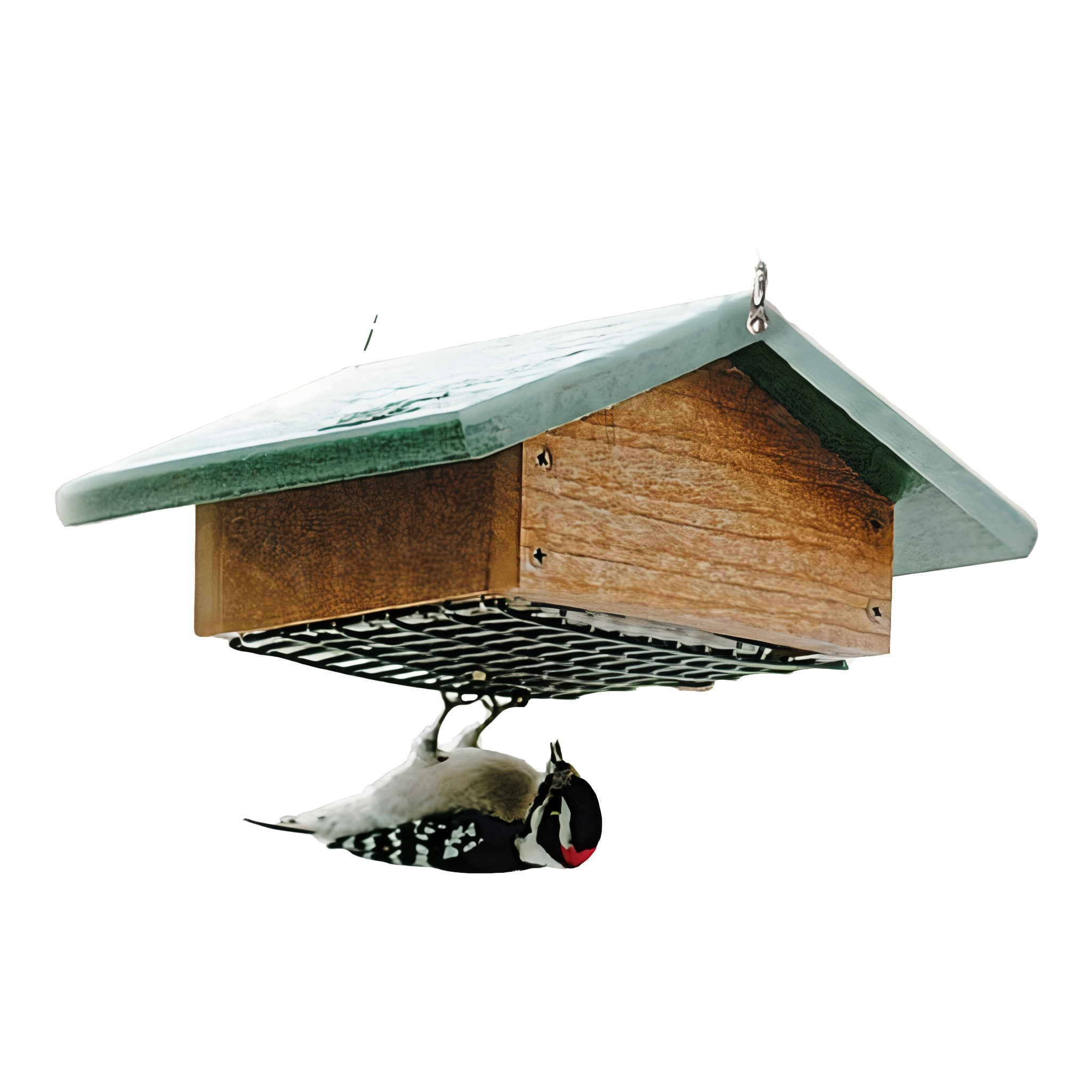 Audubon Recycled Plastic Upside Down Suet Feeder