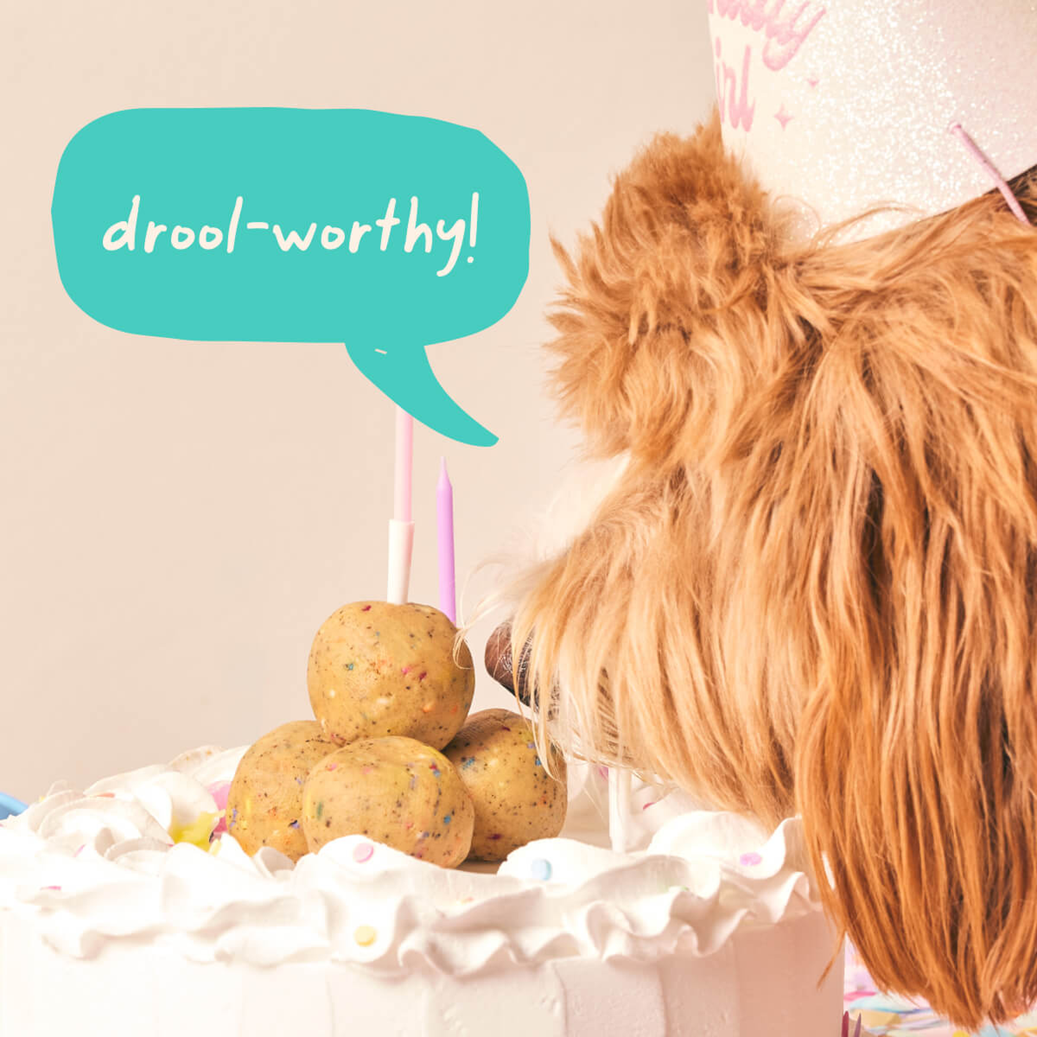Dog celebrating with a Woof Birthday Pop in a Pupsicle
