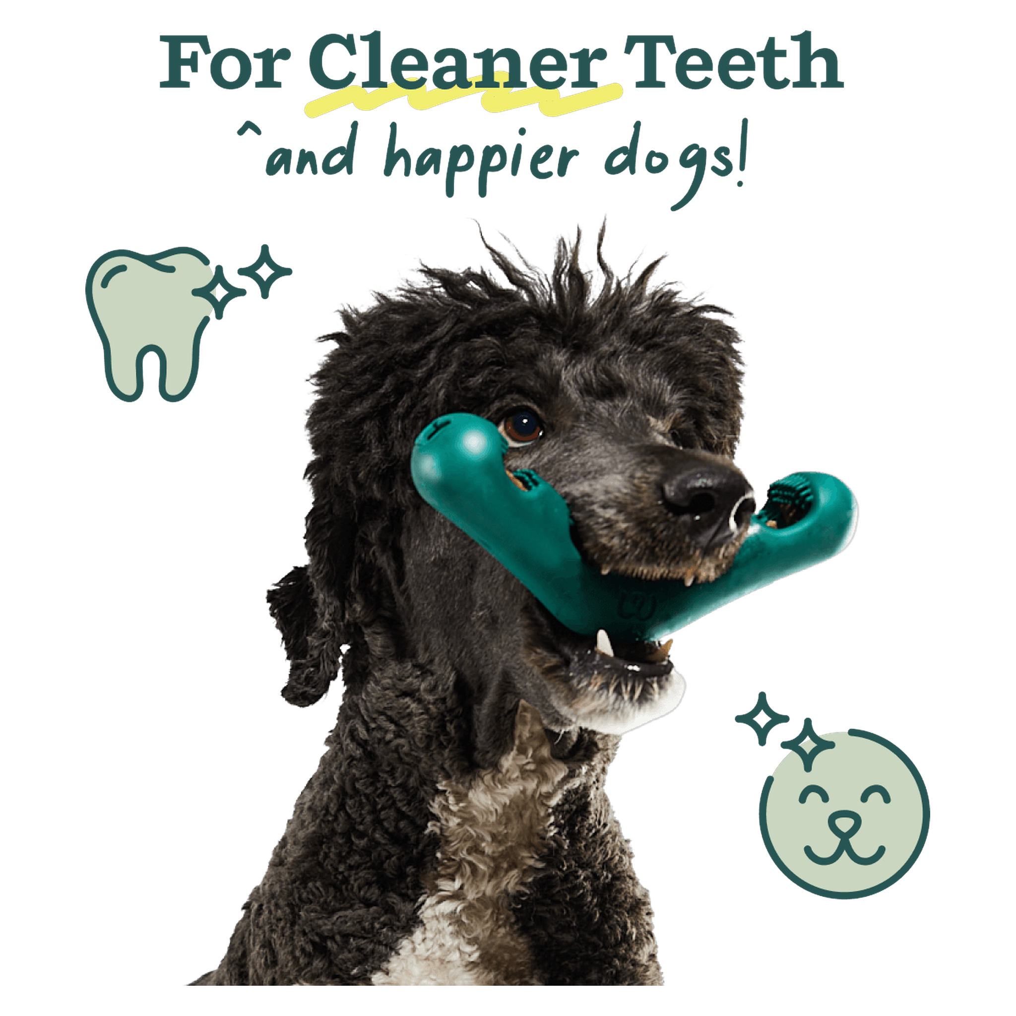 Woof Bite n' Brush bristles scrub plaque and tartar