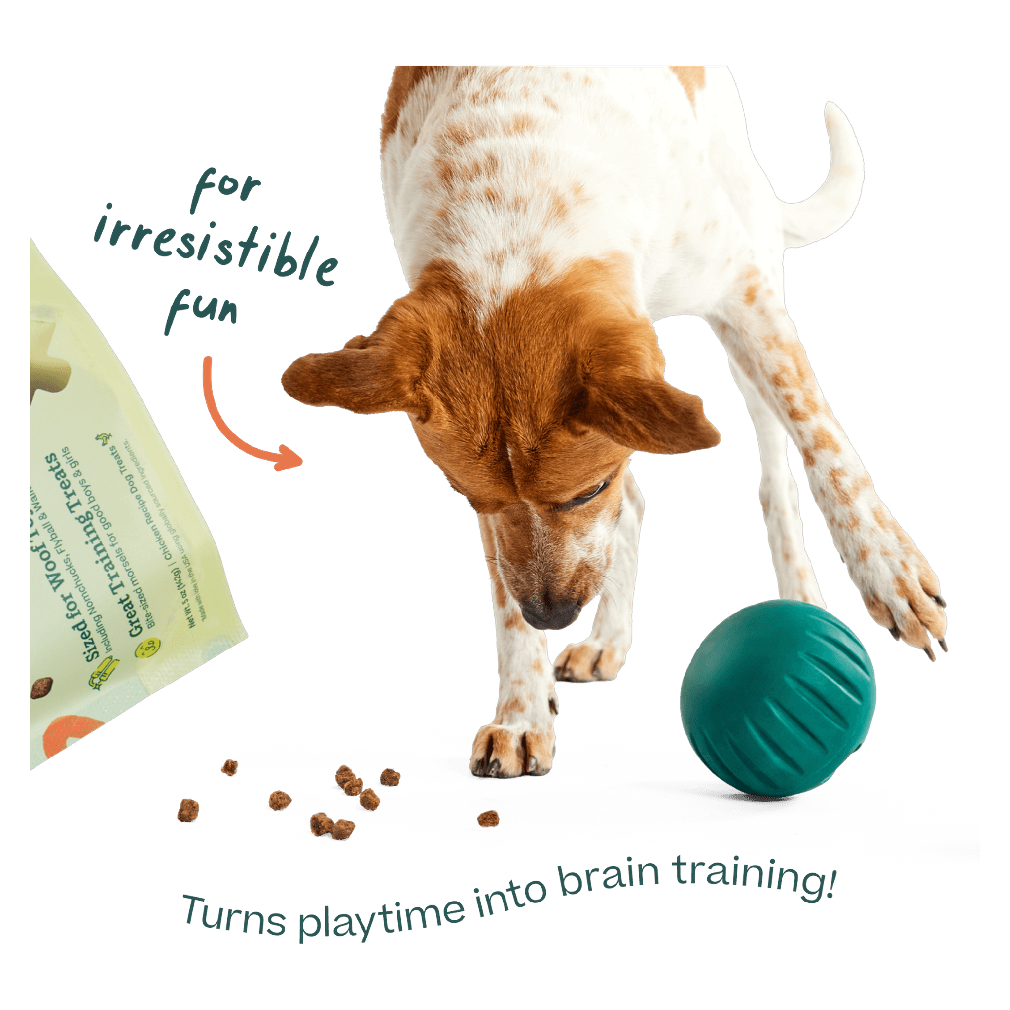 Puzzle Treats are air-dried with real chicken and brown rice