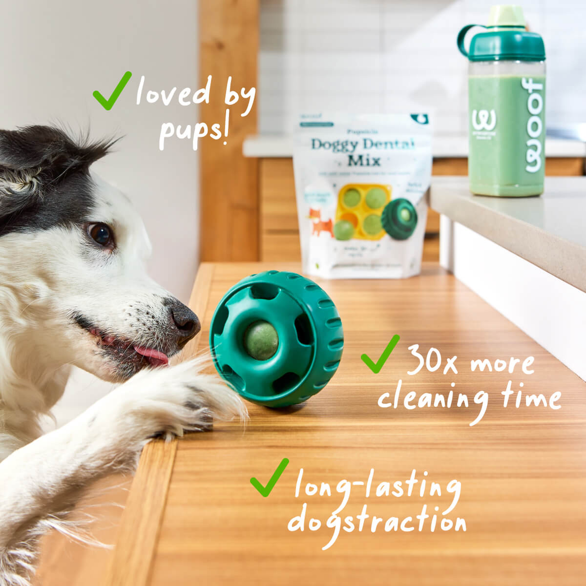 Dog licking a frozen Doggy Dental pop from a Woof Pupsicle