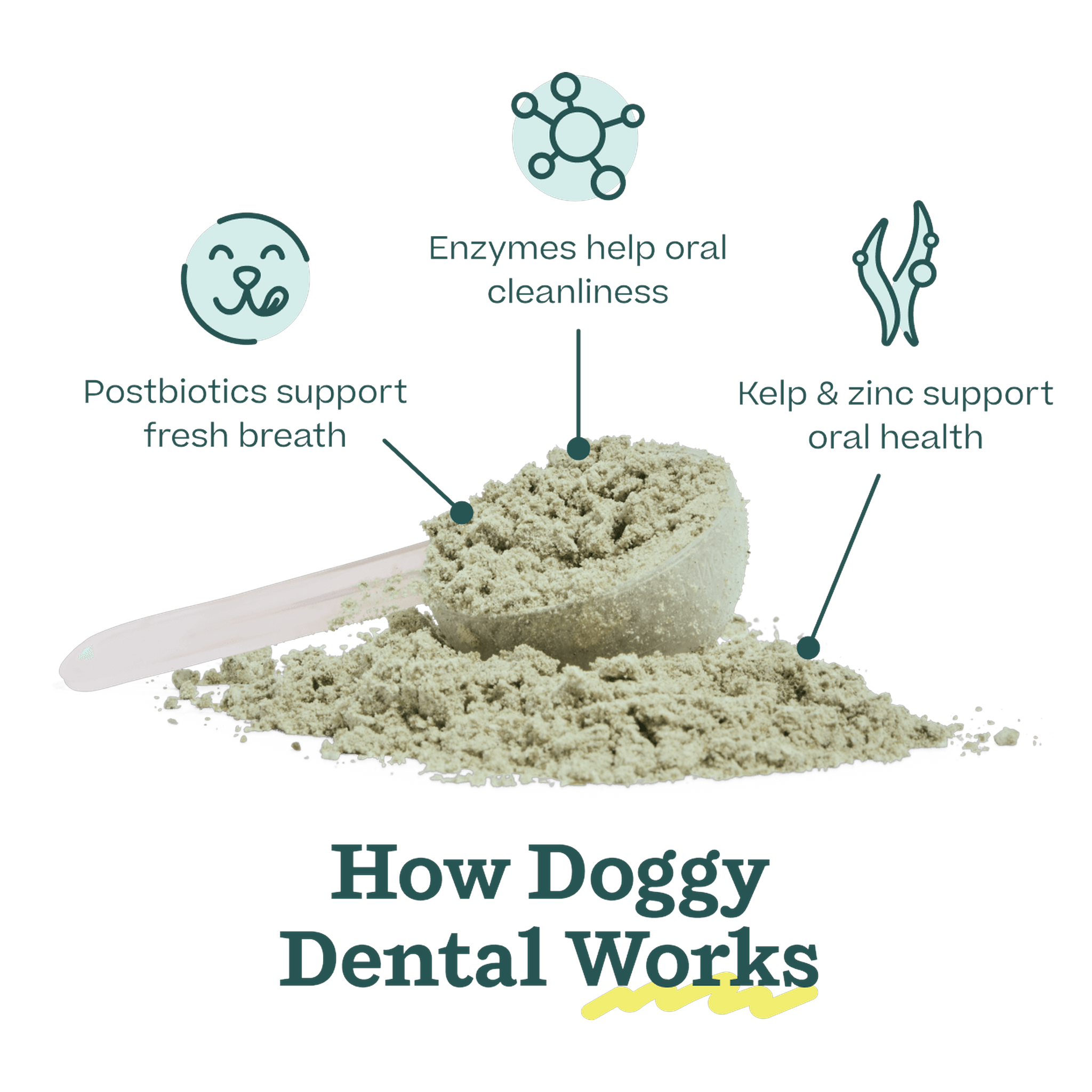 Doggy Dental Mix key ingredients: OraTech dental enzymes, postbiotic, kelp, ceylon cinnamon