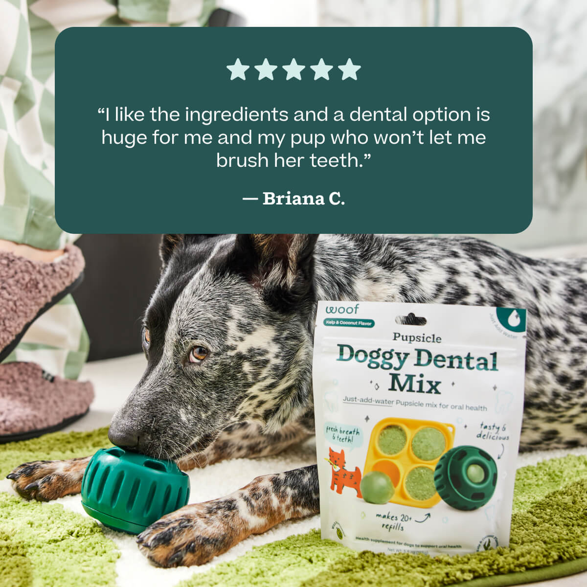 Mixing Woof Doggy Dental Mix with water before freezing