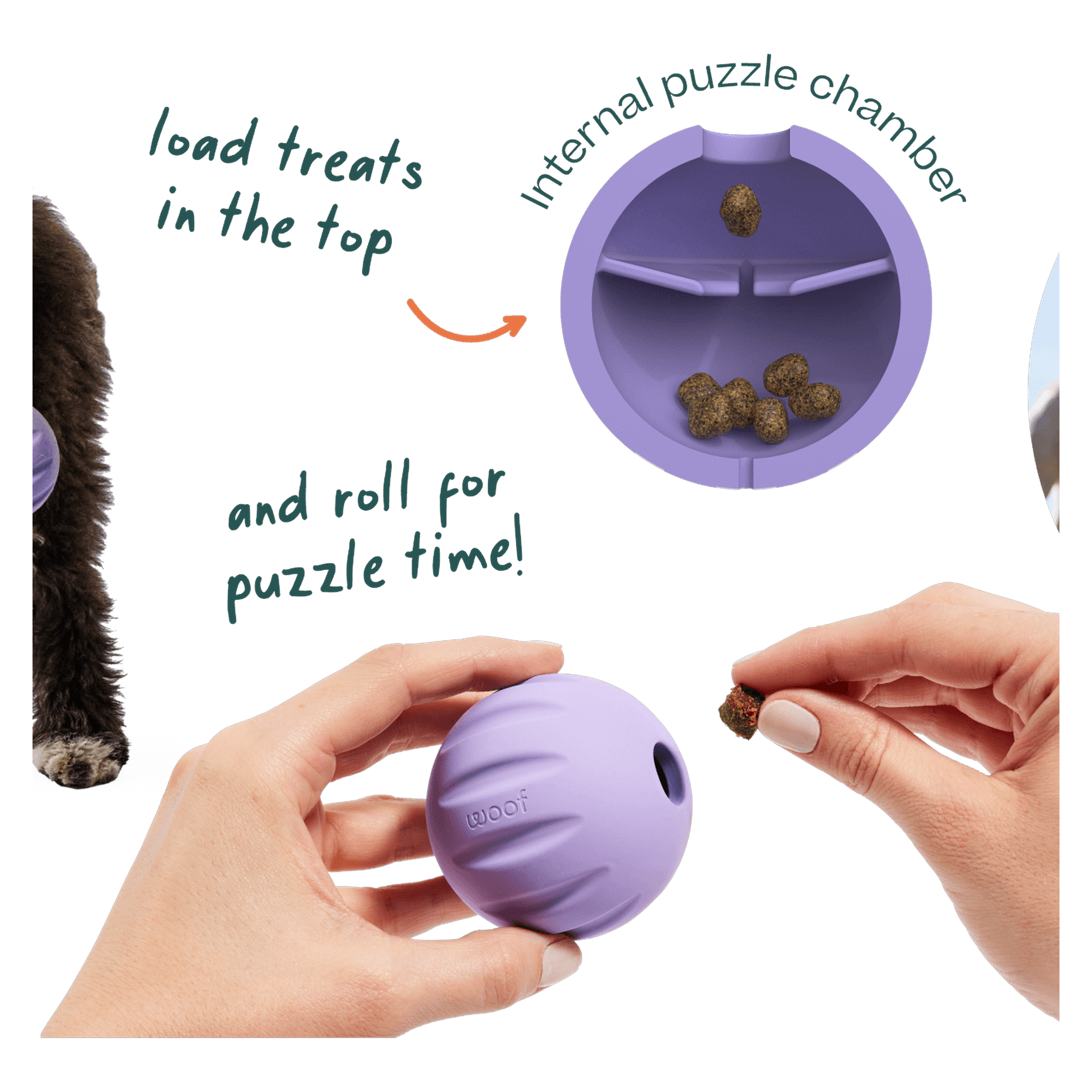 Flyball puzzle mode: hidden treat chambers inside