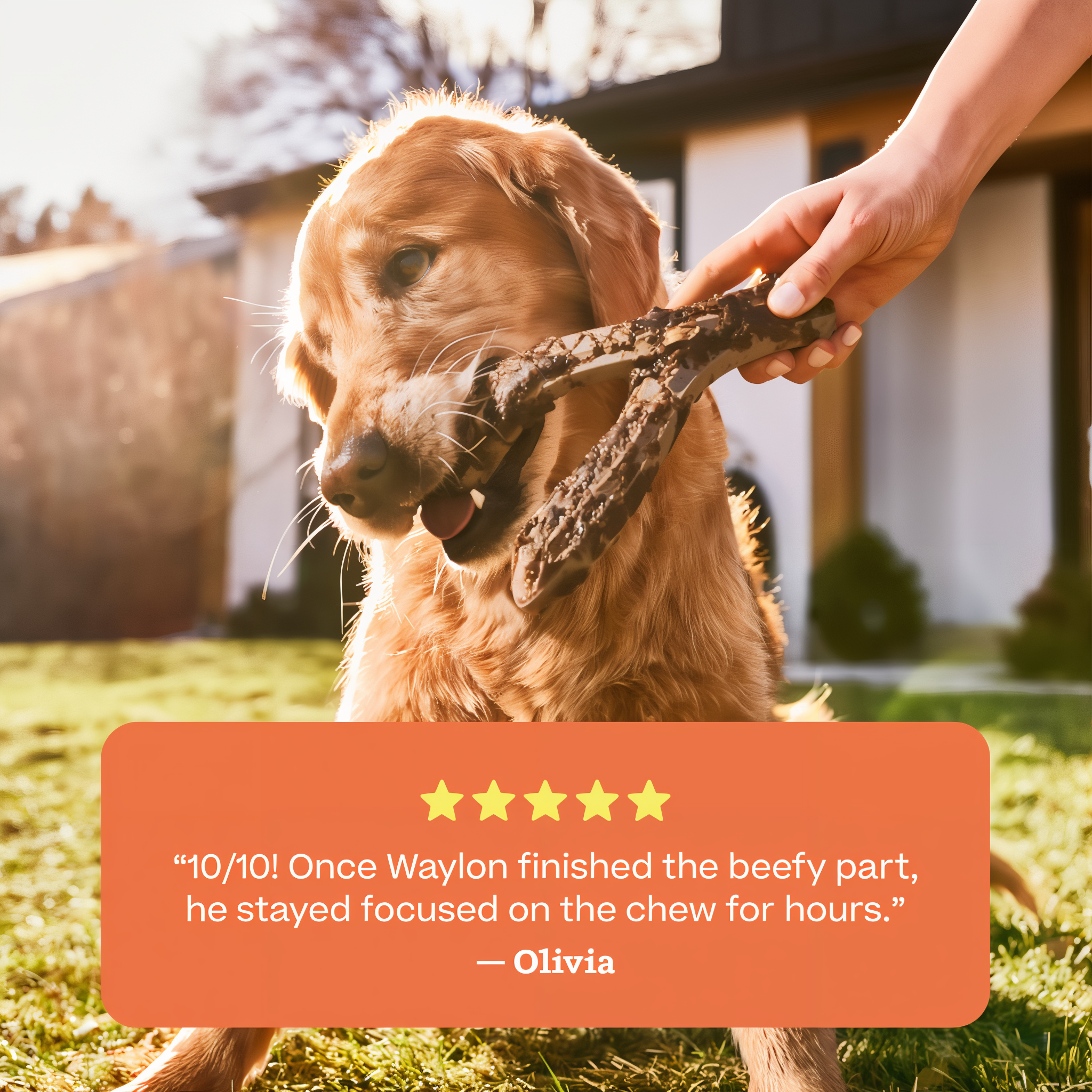 Enjoy HonestChew Meaty outdoors or on an easy-to-clean surface