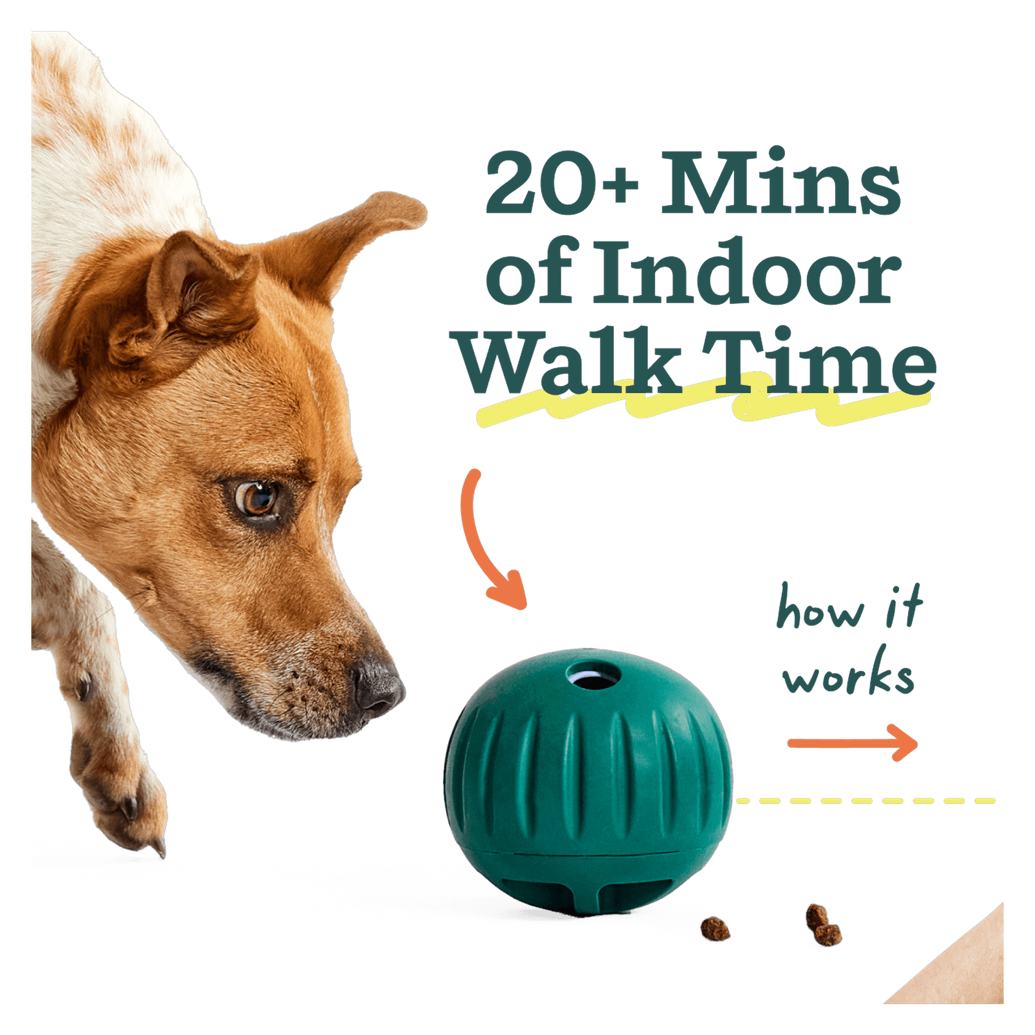 Walkabout turns kibble into cardio and treats into brain games