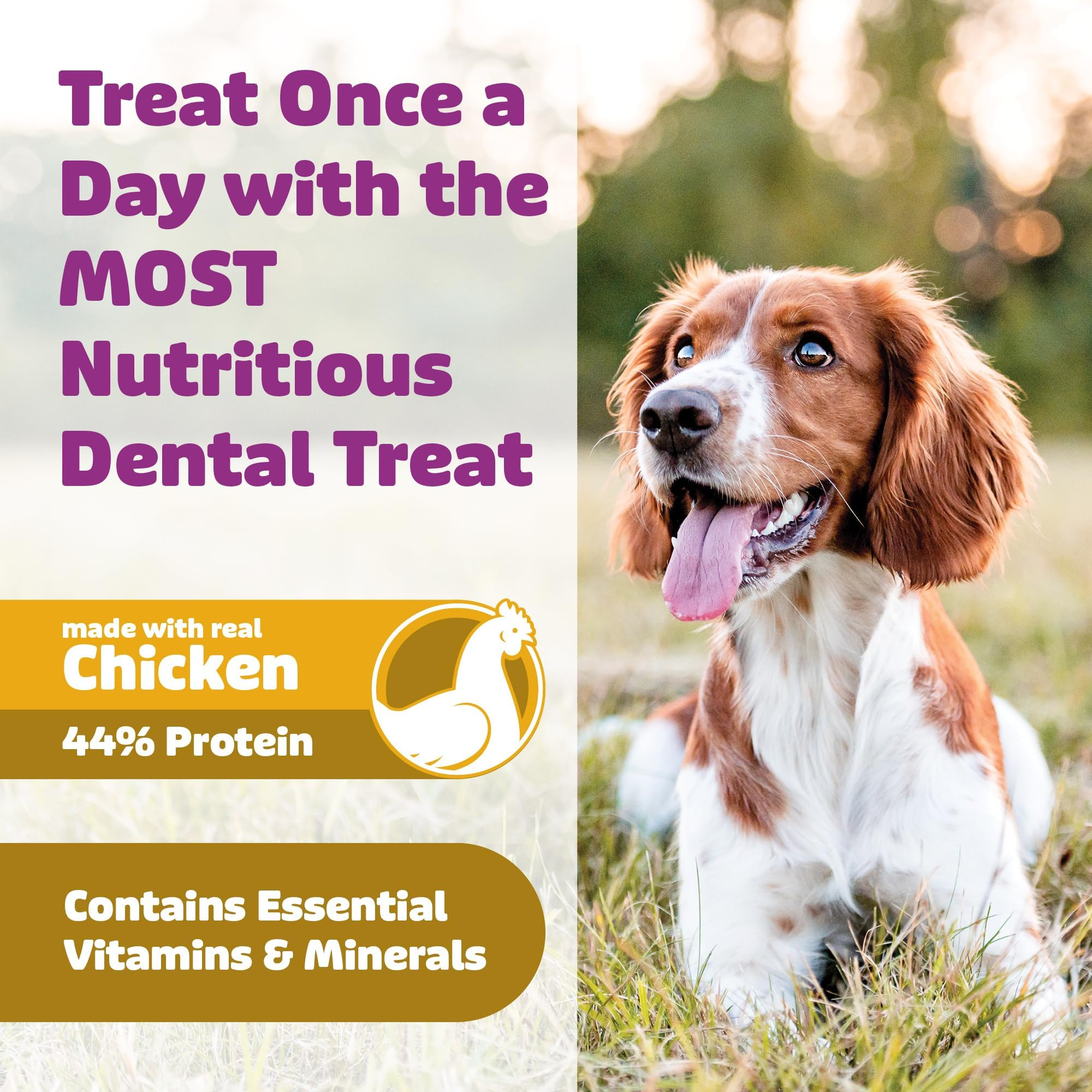 Treat once a day with real chicken protein plus essential vitamins and minerals