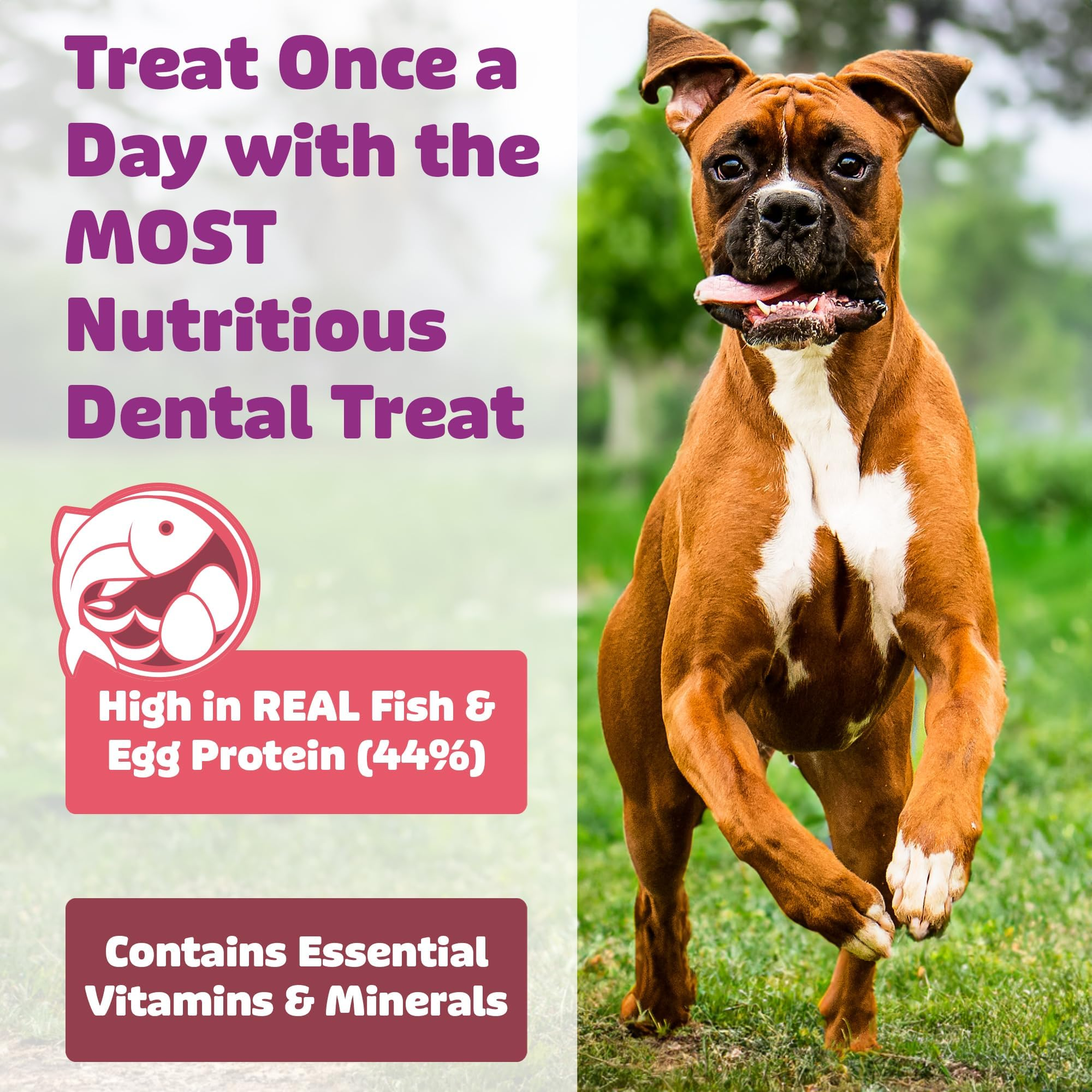 Treat once a day with real fish and egg protein plus essential vitamins and minerals