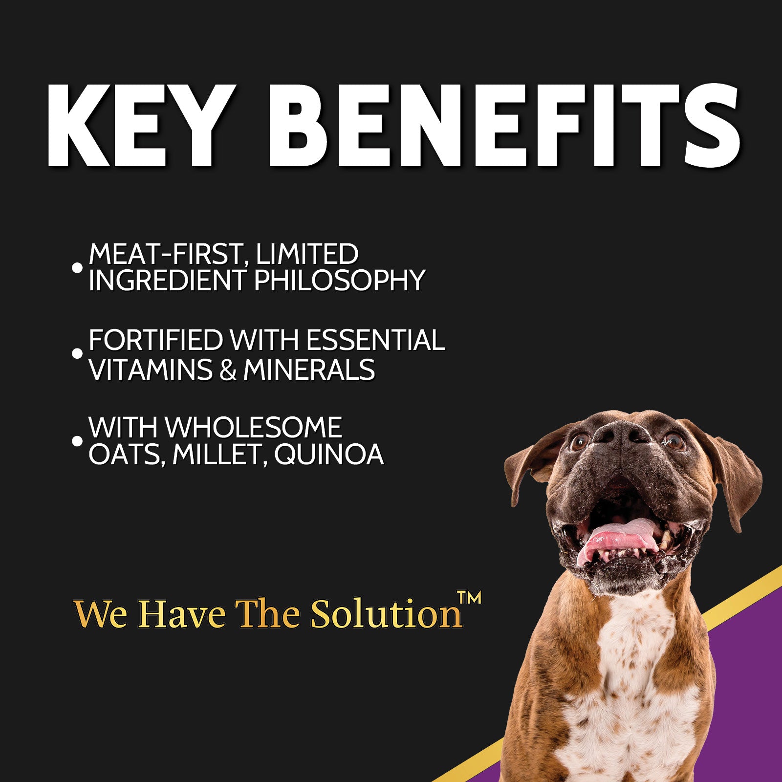 Zignature Select Cuts Lamb & Lamb Meal Formula Dry Dog Food — product highlights tile 2