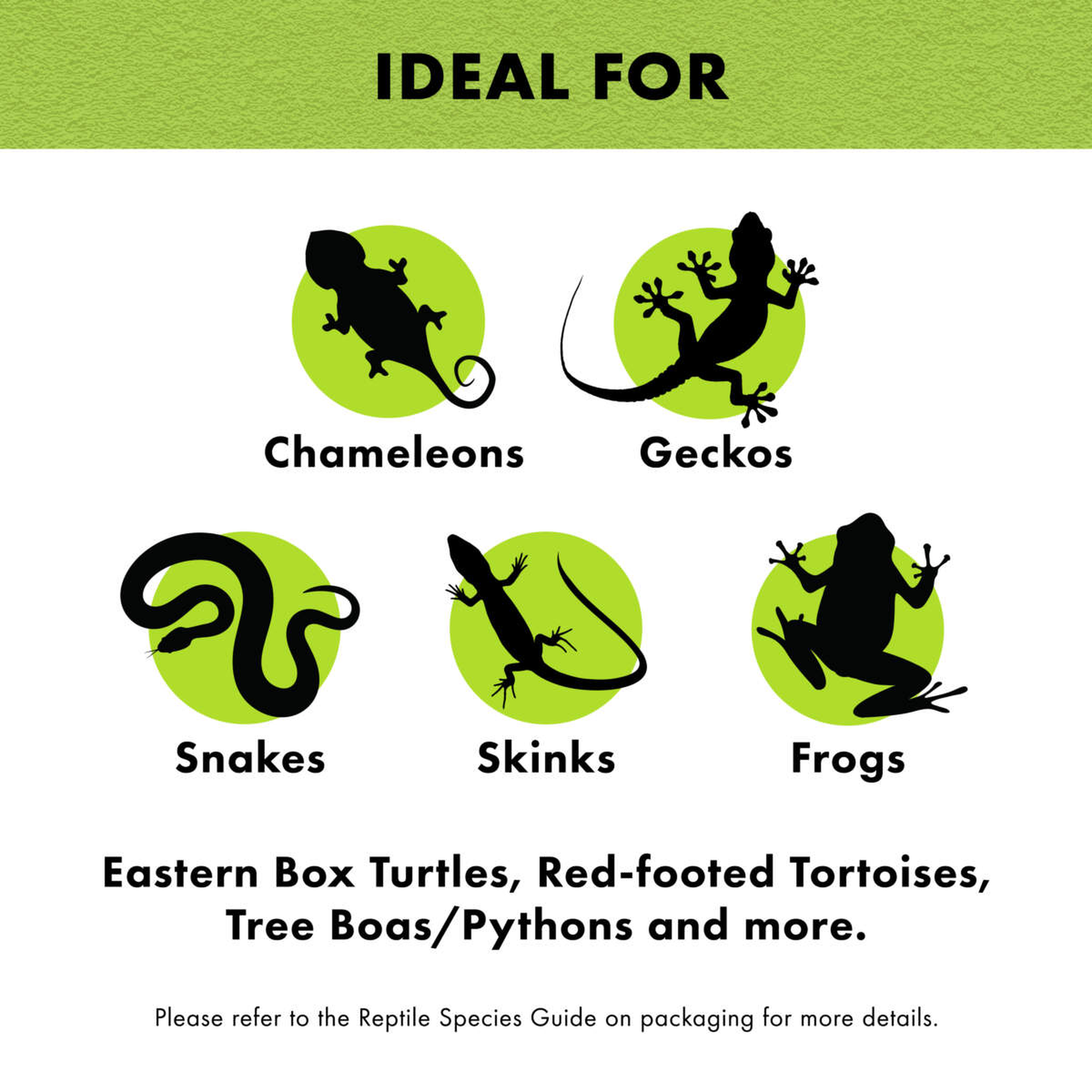 Ideal for chameleons, geckos, snakes, skinks, frogs, box turtles and tortoises