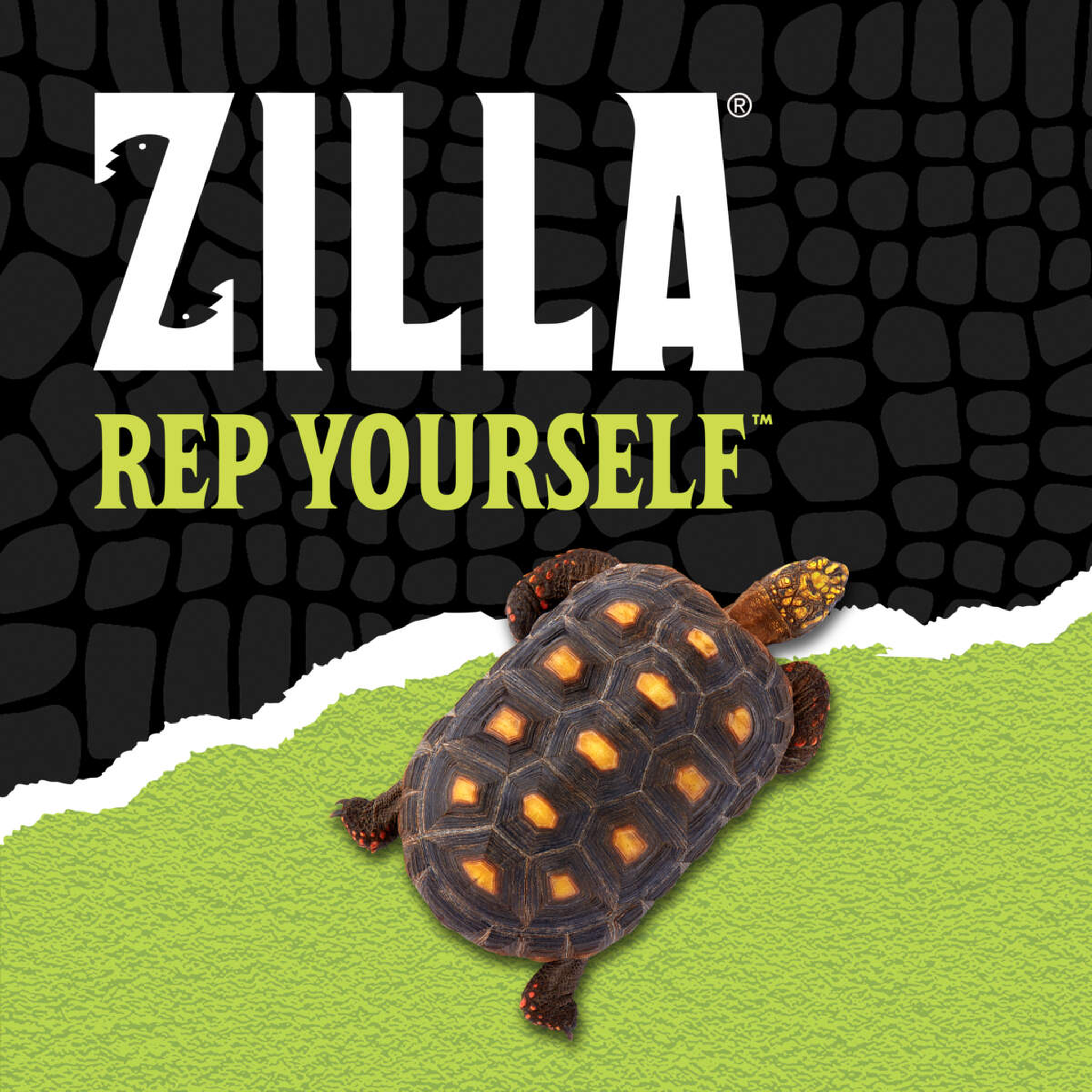 Zilla Rep Yourself brand graphic with a red-footed tortoise