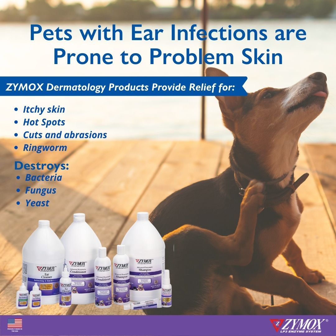Zymox dermatology products provide relief for itchy skin, hot spots, cuts and abrasions, and ringworm