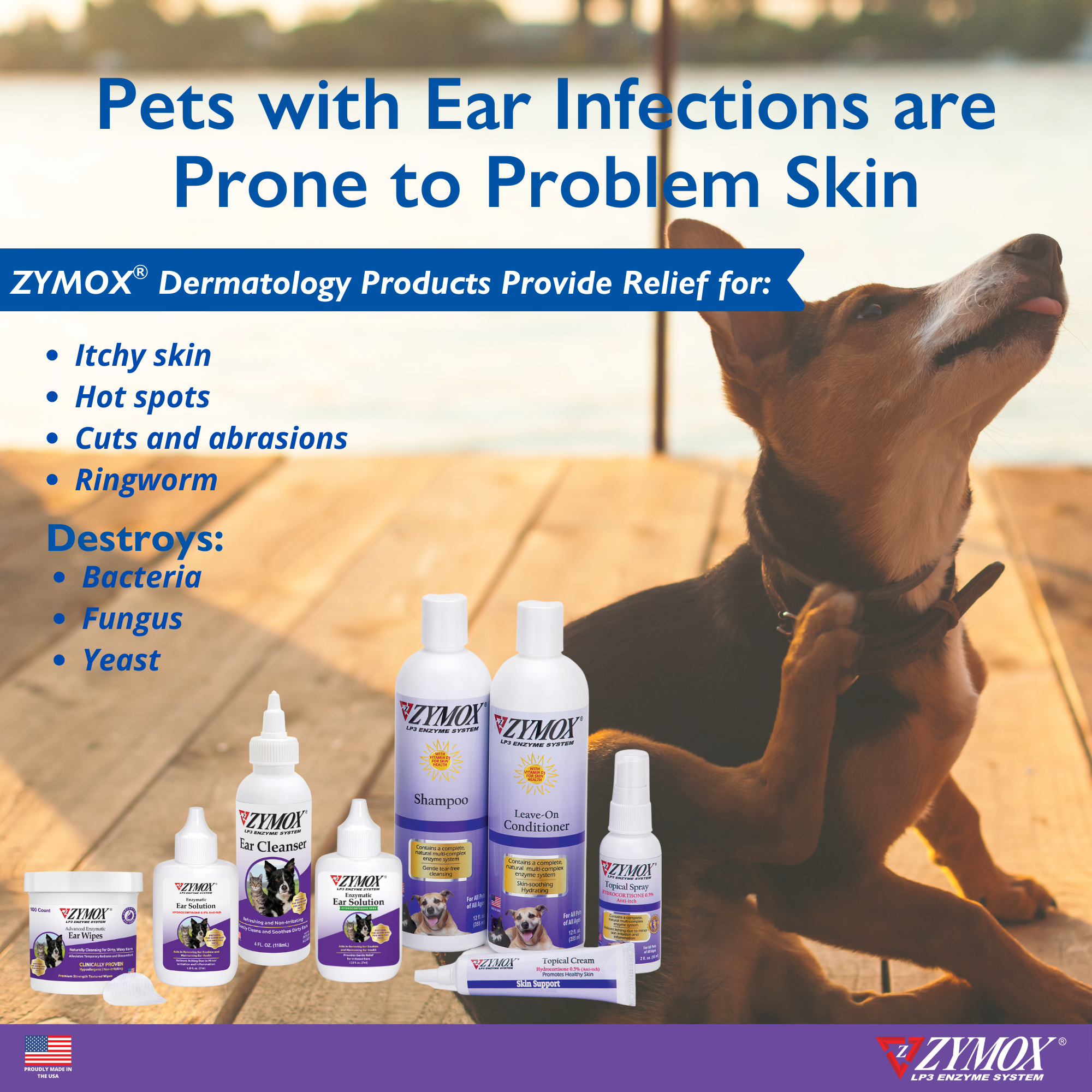 Zymox ear care guidance for pets prone to ear infections and problems